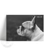 Lámina Horizontal Bulldog Frances - Imagen 2