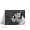 Lámina Horizontal Bulldog Frances - Imagen 3